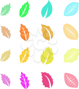 Set of Flat Colorful Leaves. Nature. Vector illustration