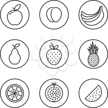 Fruit Flat design thin line icon set. Vector illustration