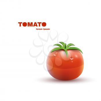 Red Tomato isolated on white Background. Vector illustration