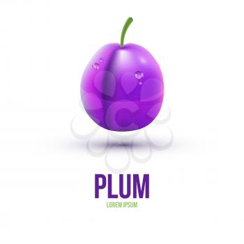 Realistic Plum isolated on white background. Vector illustration