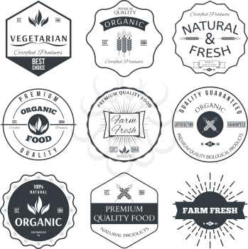 Set of vintage style elements for labels and badges for organic food and drink vector