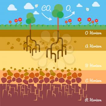 Flat design Soil Infographics Nature Vector illustration