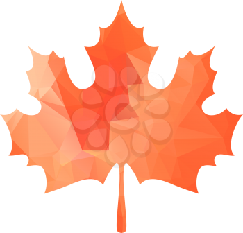 Abstract Maple Leaf Silhouette with Pattern. Vector illustration