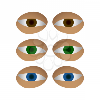 Different colors Eyes set on a white background