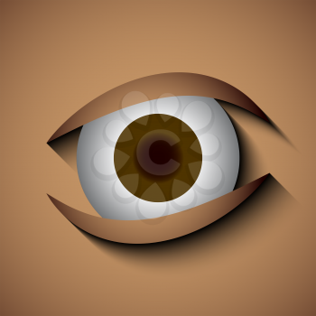 Vector Eye Icon with eyebrow on white background