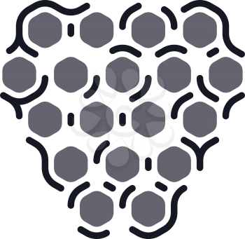 blackberry fruit logo vector icon symbol 