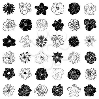 Set of hand drawn flowers, abstract vector templates.