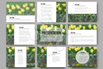Set of 9 templates for presentation slides. Yellow flowers on the grass. Collection of abstract multicolored backgrounds. Natural geometrical patterns. Triangular and hexagonal style vector.