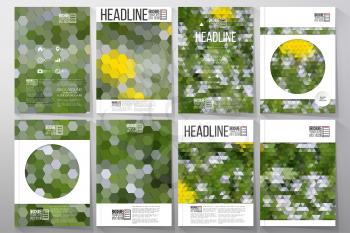 Business vector templates for brochure, flyer or booklet. White flowers on the grass. Abstract multicolored backgrounds. Natural geometrical patterns. Triangular and hexagonal style vector 