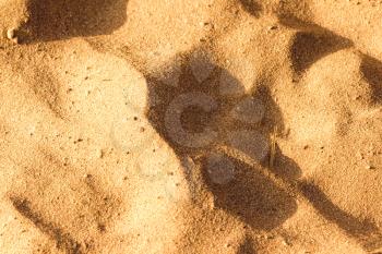 Desert sand texture from the sand in Egypt