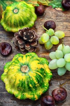 Autumn harvest squash with chestnuts and pine cones on wooden table