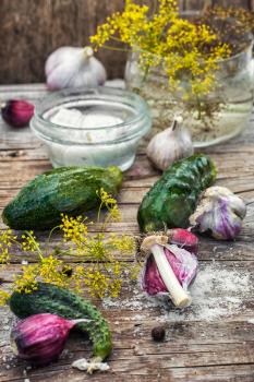 Cucumber pickled with dill and garlic on wooden table.Selective focus.Photo tinted.