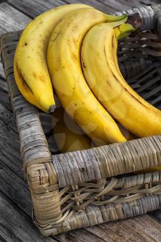 Ligament large ripe and fragrant bananas on wooden background.
