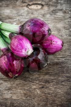 color onions on an iron plate in spray of water.Photo tinted