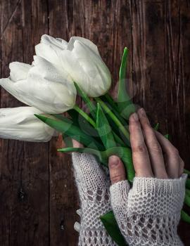 female hand with a bouquet of fresh white tulips