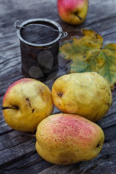 Ripe autumn pear varieties on vintage background of wood