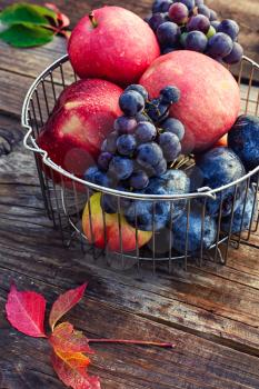 Basket of metal rods with ripe apples and grapes