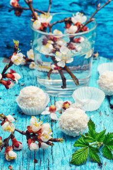 still life with flowering branches of cherry and sweet air on a turquoise background