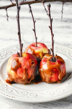 apples with toffee caramel decorated with branch