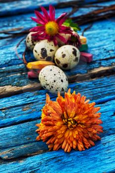 painted eggs for Easter on the background colorn