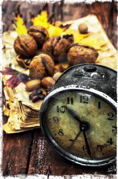 Still life with autumn harvest walnuts on wooden background