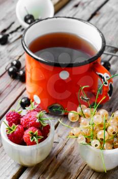 Iron cup with tea spoon custard and raspberries and currants