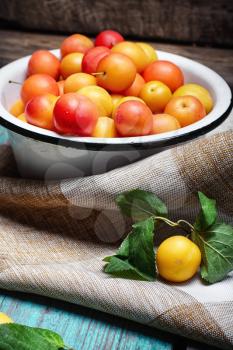 Iron bowl with autumn plums on wooden background