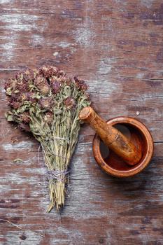 Dried medicinal plant and wooden mortar with pestle