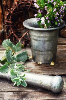 Iron mortar with pestle and medicinal plants in rustic style