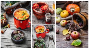 collage with autumn apples,pumpkins and tea medicinal herbs