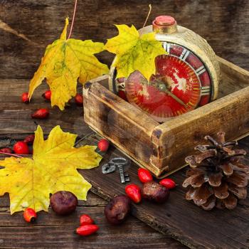 Retro alarm clock in a wooden box in the background dotted with maple autumn leaves