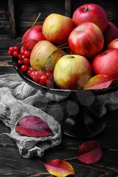 Harvest of juicy autumn apples in vase for fruits