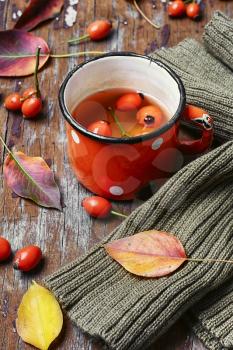 Cup of healing tea with autumn hips