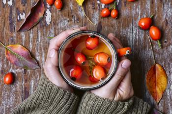 Hazelnuts Stock Photo