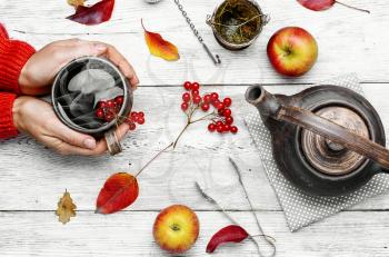 Warm cup of autumn tea with berries in his hands