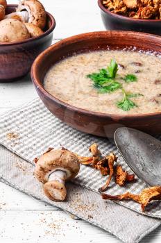 delicious seasonal vegetarian soup with chanterelle mushrooms