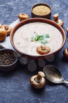 seasonal vegetarian soup with chanterelle mushrooms in slate background