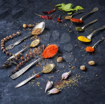 large assortment of spicy spices in spoons on dark background