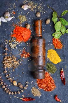 large set spicy spices in spoons on slate background