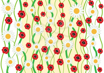 The flowers camomile and poppy background