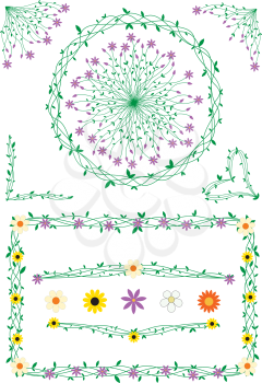 Decorations from flowers and stalks isolated on a white background