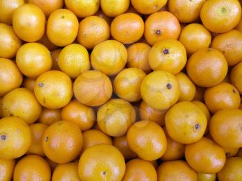 Agricultural background; a pile of beautiful tangerines