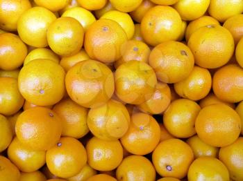 The beautiful tangerines on a counter