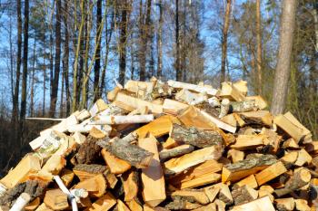 Firewood dries in sun rays. Chopped pine pile on blue sky and tree background