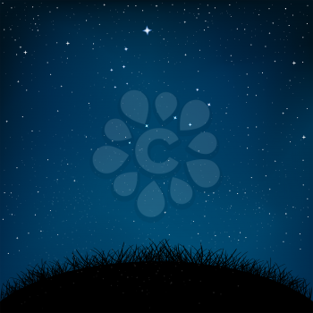 Night starry sky and dark grass ground silhouette background. Nature nightly meadow landscape with shiny stars. Constellation Big and small Dipper. Great Bear star