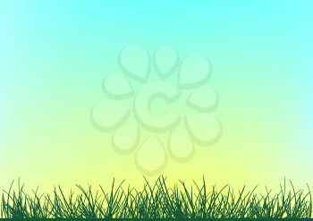 Grass silhouette on color spring or summer background. Beautiful nature meadow