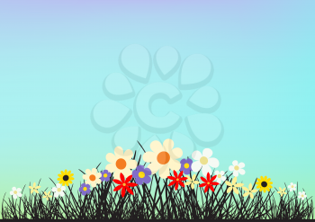 Flowers and grass on blue clear sky backdrop. Spring or summer beautiful nature evening or morning meadow