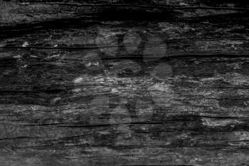 Black color decorative wooden background. Wood dark texture backdrop