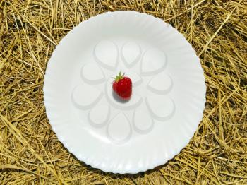 One strawberry on white plate hay and straw on background. Farm rural food
