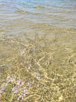 Summer lake water waves on shallow. Beautiful summer wallpaper background